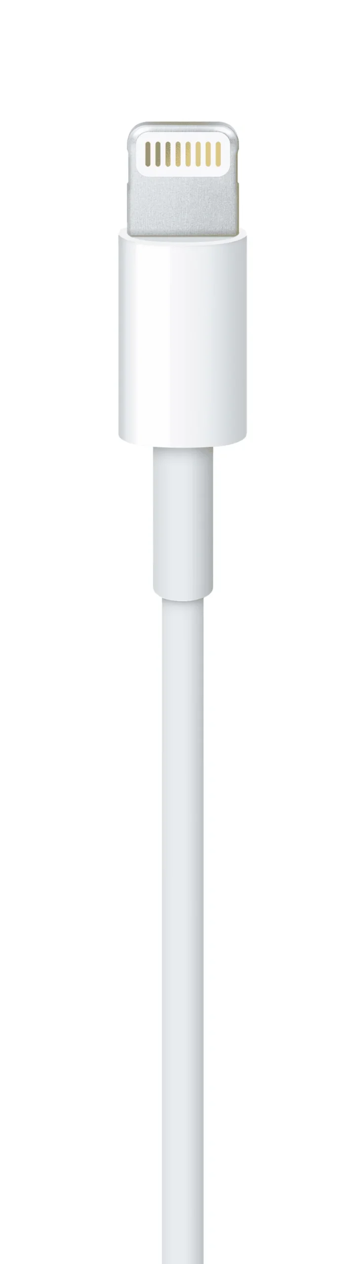 APPLE CABLE USB-C to LIGHTNING (1M) - Image 3